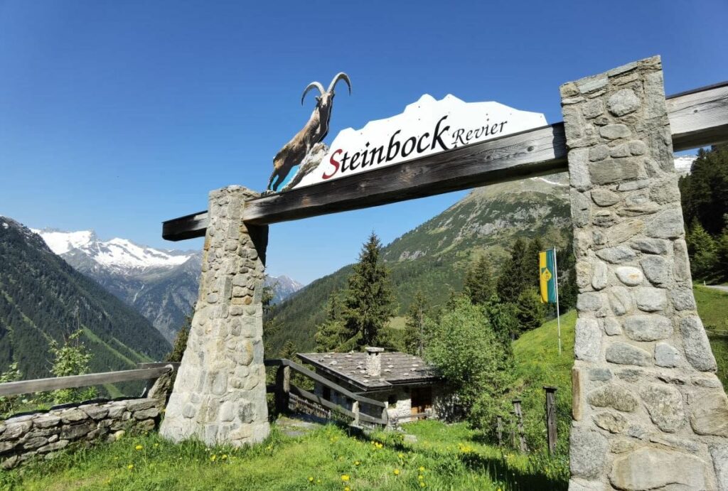 Steinbockwelten Zillergrund - dieser Ausflug hat sich für mich nicht gelohnt