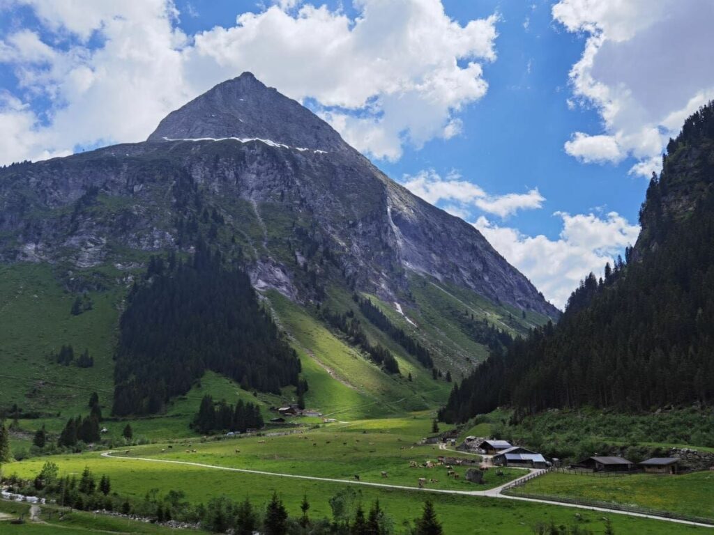 Idyllische Almlandschaft im Zillergrund - überragt von den hohen Bergen der Zillertaler Alpen