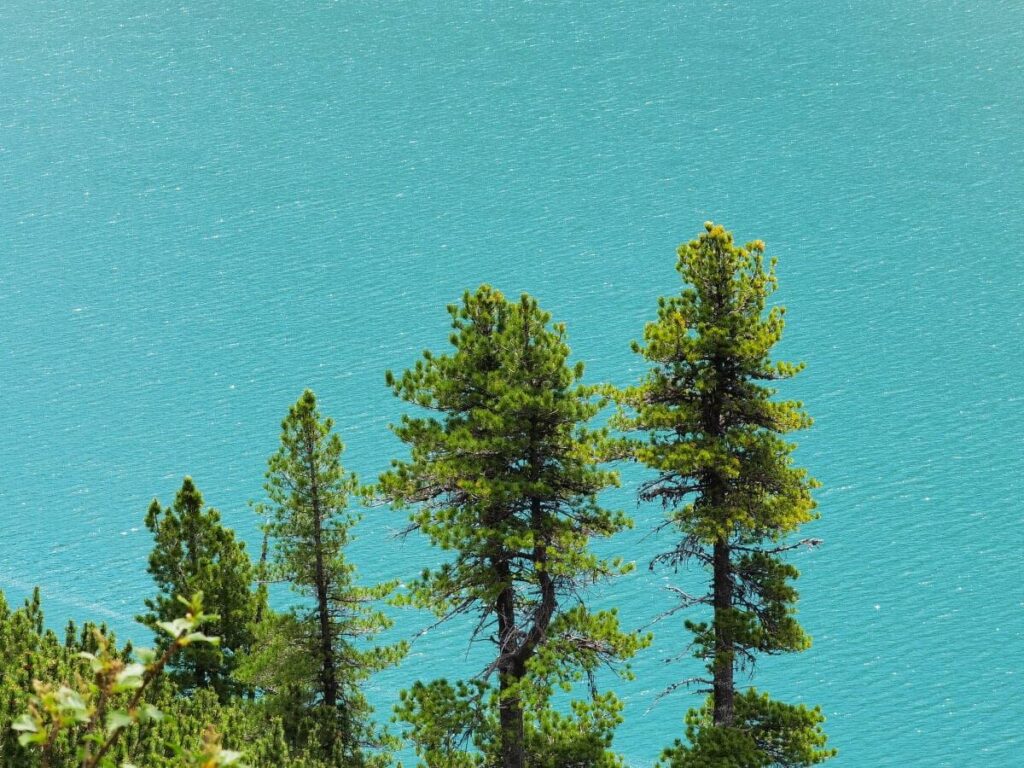 Am Zillergrund Stausee wandern und das türkisgrüne Wasser bewundern