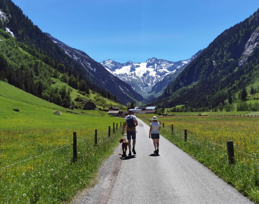 Die Stilluptal Wanderung hinter dem Stausee durch das schmale Seitental des Zillertals, mit Blick auf die 3000 Meter hohen Gipfel samt Gletscher