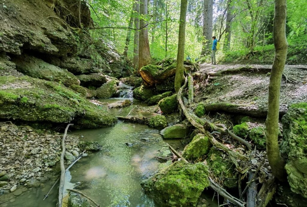 coole Reiseziele in Bayern, die nicht jeder kennt: Maisinger Schlucht am Starnberger See