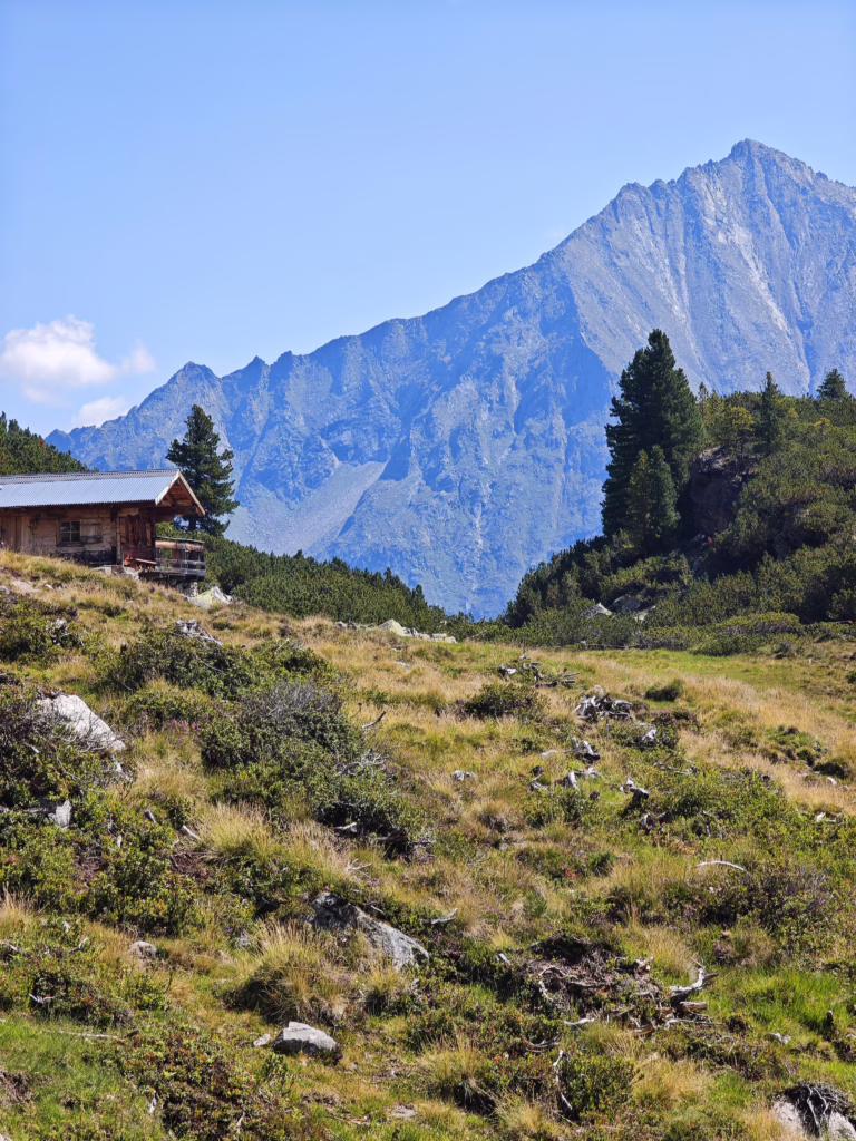 Die Friesenbergalm liegt auf dem Wanderweg zum Friesenberghaus - sie ist nicht bewirtschaftet